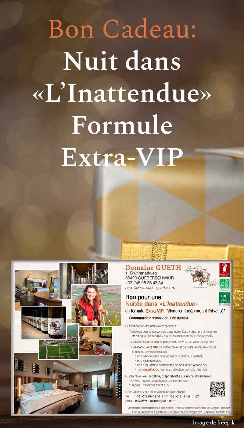 Bon cadeau : Une nuit dans la suite premium "L'Inattendue" pour 2 personnes en formule Extra-VIP