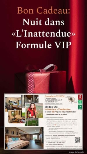Bon cadeau : Une nuit dans la suite premium "L'Inattendue" pour 2 personnes en formule VIP