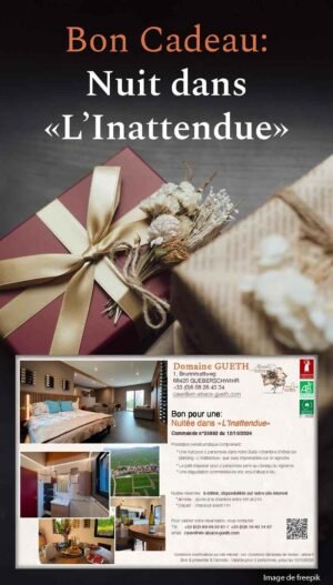 Bon cadeau : Une nuit dans la suite premium "L'Inattendue" pour 2 personnes