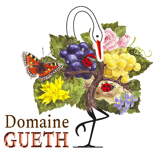 Chambres du Domaine GUETH